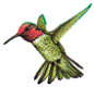 signature_images/106.gif